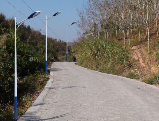 農(nóng)村太陽(yáng)能路燈