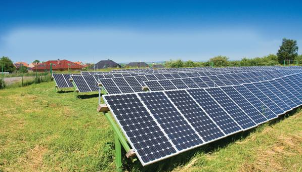 ����վ������������