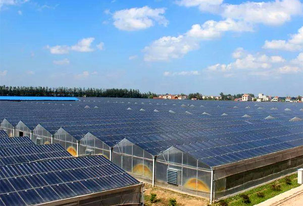 �x�W����l�ϵ�y