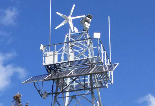 ��̫ͥ��ܹ��ϵ�y�r��